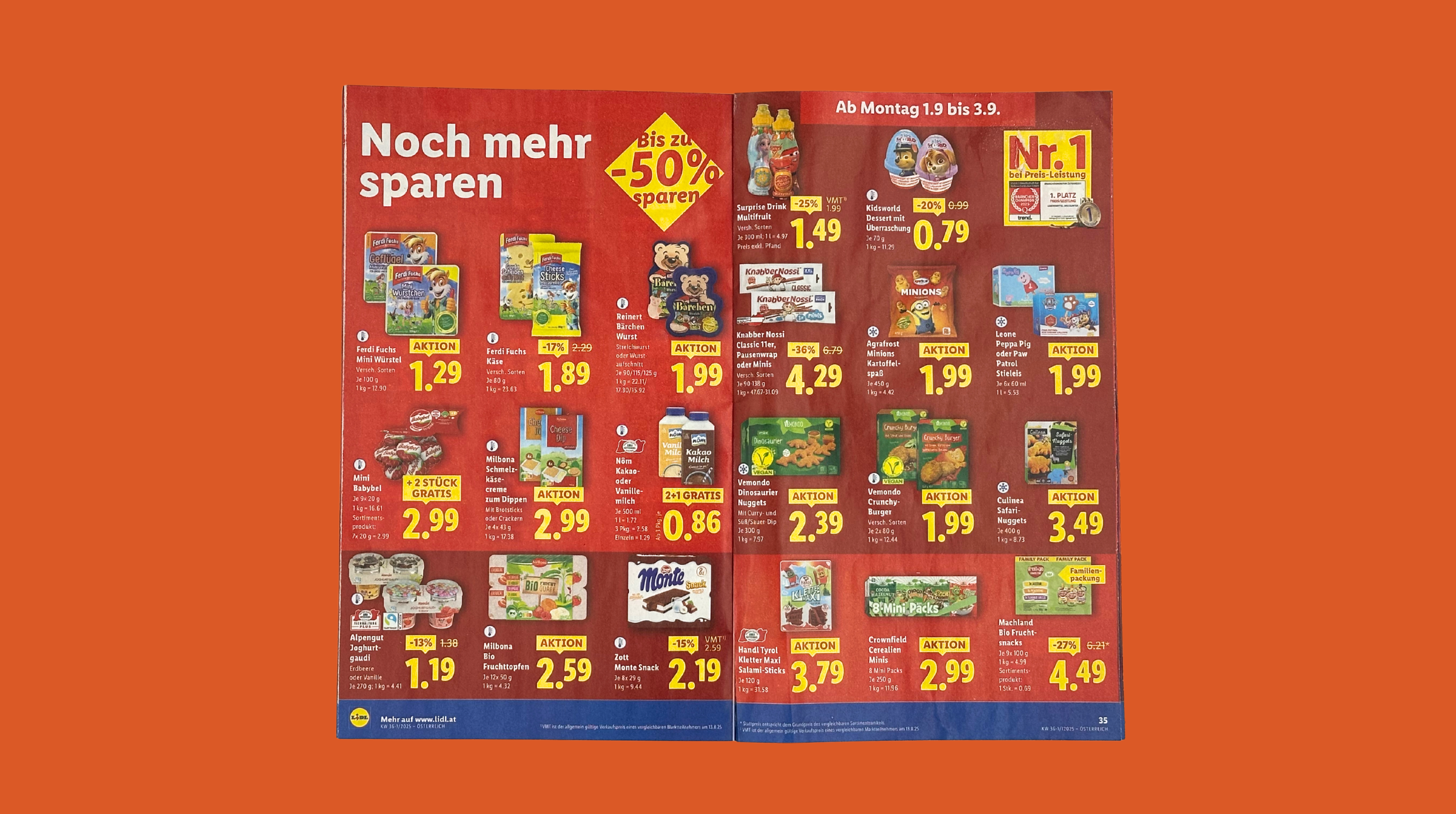 Lidl Flugblatt