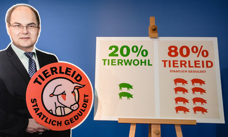 Tierleid-Label  und Grafik 20 Prozent Tierwohl - 80 Prozent Tierleid