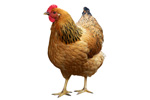 Bild: Fotolia / shishiga Bild: Fotolia / shishiga