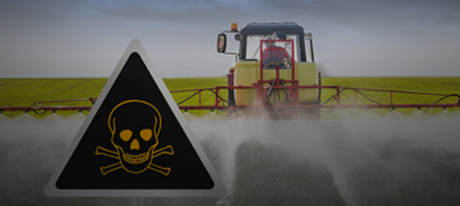 Résultat de recherche d'images pour "danger glyphosate"