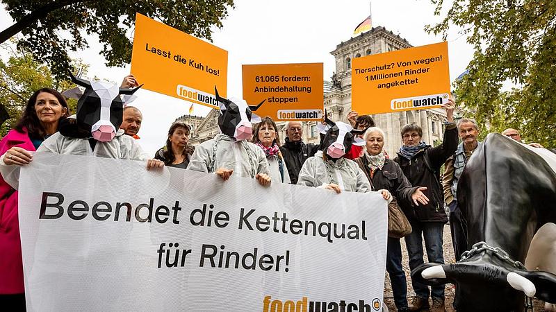 Eine Gruppe von Aktivisten in weißen Overalls und Kuhmasken hält ein großes Banner mit der Aufschrift: "Beendet die Kettenqual für Rinder!" hinter ihnen stehen weitere Personen mit Protestschildern.