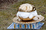 Der Goldene Windbeutel 2009 ging an den Trinkjoghurt Actimel von Danone.