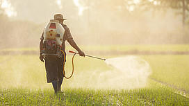 Arbeiter:in sprüht pestizide auf einem Feld