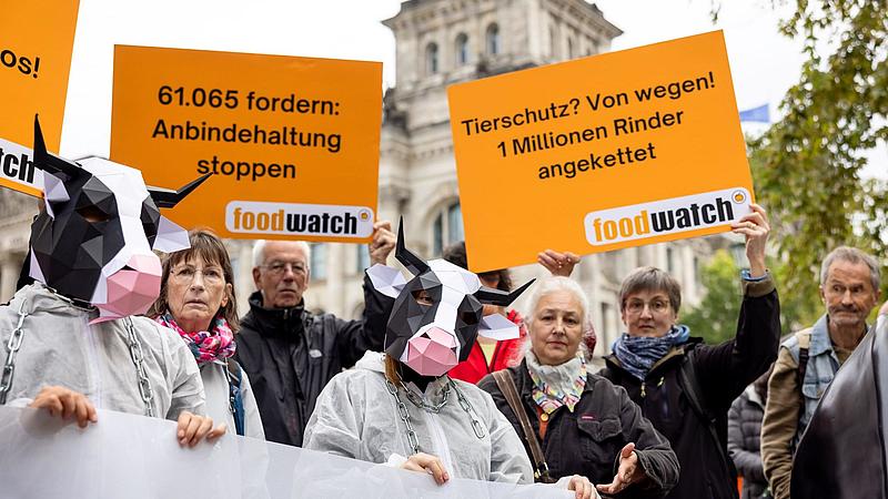 Aktivisten tragen Kuhmasken und halten Schilder hoch. Im Hintergrund ist der Bundestag zu sehen. Auf den Schildern steht unter anderem: "61.065 fordern: Anbindehaltung stoppen" und "Tierschutz? Von wegen! 1 Million Rinder angekettet."
