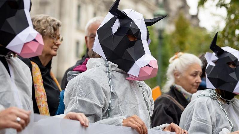Eine Gruppe von Aktivisten in weißen Overalls und Kuhmasken hält ein großes Banner mit der Aufschrift: "Beendet die Kettenqual für Rinder!" hinter ihnen stehen weitere Personen mit Protestschildern.